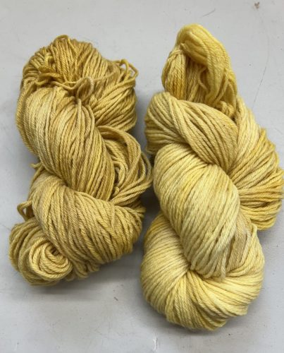 Heather.-Yarn-dyed-with-the-Dyers-Polypore-she-brought-to-the-last-meeting-