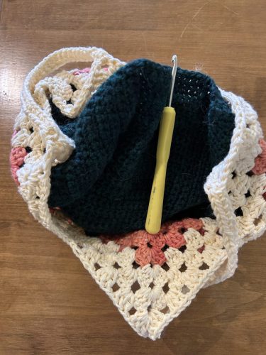 Heathers-project-bag-with-project