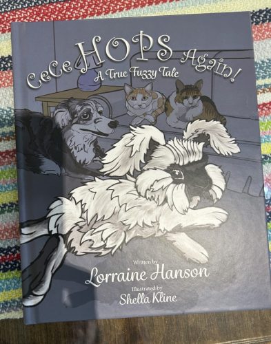 Our-guild-copy-of-Lorraines-book